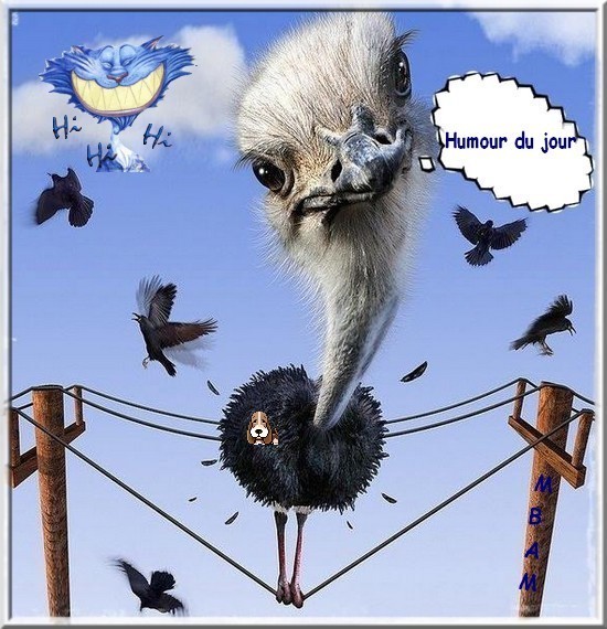 Gentilles blagues d'une amie (merci)