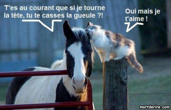 Prends le temps... de VIVRE !