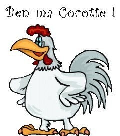 Quelques blagues reçu d'une amie (merci)