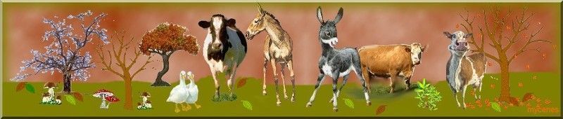 animaux-de-ferme.jpg