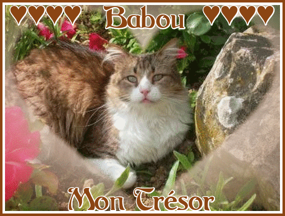 babou_mon_tresor1