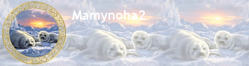 banniere-phoque-mamynoha2.png