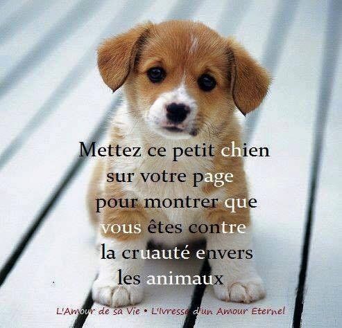 A partager! merci !