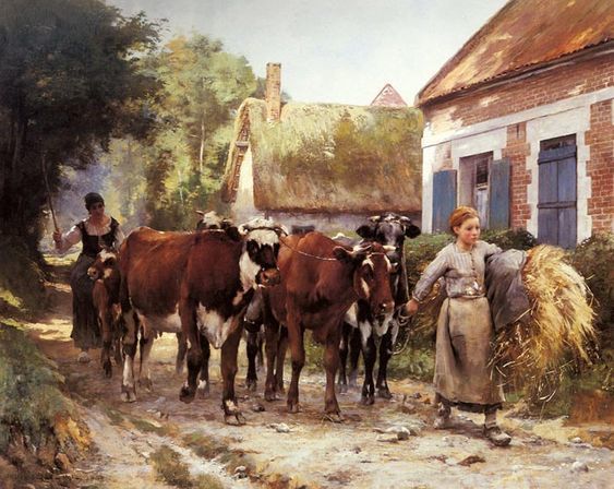 ferme-14.jpg