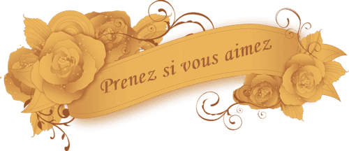 prenz-si-vois-aimez.png