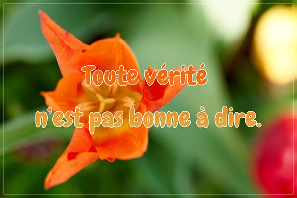 texte-citation-verite